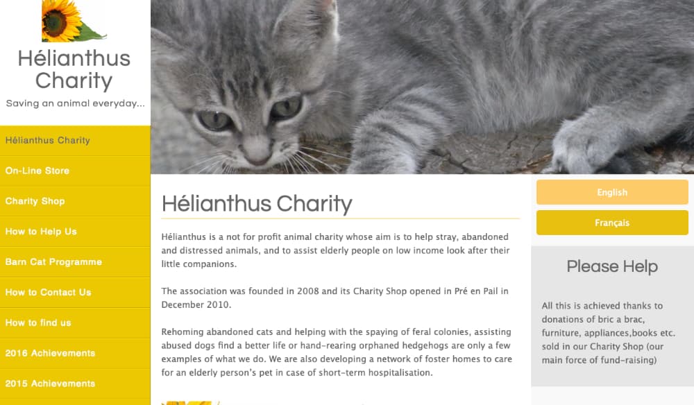 Helianthus Charity